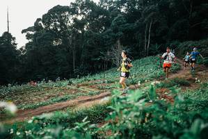 BIB: 
                            <button type="button" onclick="openModal(25368385)" class="btn btn-primary btn-sm float-right btn-popup" data-toggle="modal" data-target=".modal-high-quality">
                        <i class="fas fa-shopping-cart"></i> Add to Cart
                    </button>
                                            <button type="button" onclick="isThisMe(25368385, true)" class="btn btn-success btn-sm float-right btn-popup btn-isme hidden" data-toggle="tooltip" data-placement="bottom" title="นี่คือรูปของคุณใช่ไหม คลิกที่นี่เพื่อเอาเข้าอัลบั้ม">
                        <i class="fas fa-plus"></i> Add to album
                    </button>
                    <button type="button" onclick="isThisMe(25368385, false)" class="btn btn-warning btn-sm float-right btn-popup btn-isnotme hidden">
                        <i class="fas fa-ban"></i> Remove from album
                    </button>