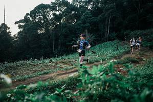 BIB: 
                            <button type="button" onclick="openModal(25367100)" class="btn btn-primary btn-sm float-right btn-popup" data-toggle="modal" data-target=".modal-high-quality">
                        <i class="fas fa-shopping-cart"></i> Add to Cart
                    </button>
                                            <button type="button" onclick="isThisMe(25367100, true)" class="btn btn-success btn-sm float-right btn-popup btn-isme hidden" data-toggle="tooltip" data-placement="bottom" title="นี่คือรูปของคุณใช่ไหม คลิกที่นี่เพื่อเอาเข้าอัลบั้ม">
                        <i class="fas fa-plus"></i> Add to album
                    </button>
                    <button type="button" onclick="isThisMe(25367100, false)" class="btn btn-warning btn-sm float-right btn-popup btn-isnotme hidden">
                        <i class="fas fa-ban"></i> Remove from album
                    </button>