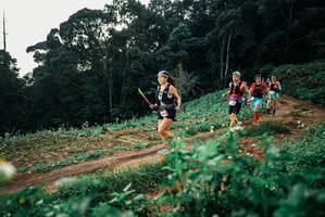 BIB: 
                            <button type="button" onclick="openModal(25420064)" class="btn btn-primary btn-sm float-right btn-popup" data-toggle="modal" data-target=".modal-high-quality">
                        <i class="fas fa-shopping-cart"></i> Add to Cart
                    </button>
                                            <button type="button" onclick="isThisMe(25420064, true)" class="btn btn-success btn-sm float-right btn-popup btn-isme hidden" data-toggle="tooltip" data-placement="bottom" title="นี่คือรูปของคุณใช่ไหม คลิกที่นี่เพื่อเอาเข้าอัลบั้ม">
                        <i class="fas fa-plus"></i> Add to album
                    </button>
                    <button type="button" onclick="isThisMe(25420064, false)" class="btn btn-warning btn-sm float-right btn-popup btn-isnotme hidden">
                        <i class="fas fa-ban"></i> Remove from album
                    </button>