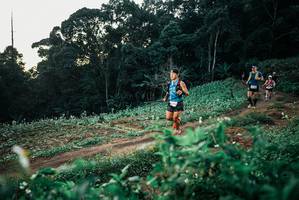 BIB: 
                            <button type="button" onclick="openModal(25366108)" class="btn btn-primary btn-sm float-right btn-popup" data-toggle="modal" data-target=".modal-high-quality">
                        <i class="fas fa-shopping-cart"></i> Add to Cart
                    </button>
                                            <button type="button" onclick="isThisMe(25366108, true)" class="btn btn-success btn-sm float-right btn-popup btn-isme hidden" data-toggle="tooltip" data-placement="bottom" title="นี่คือรูปของคุณใช่ไหม คลิกที่นี่เพื่อเอาเข้าอัลบั้ม">
                        <i class="fas fa-plus"></i> Add to album
                    </button>
                    <button type="button" onclick="isThisMe(25366108, false)" class="btn btn-warning btn-sm float-right btn-popup btn-isnotme hidden">
                        <i class="fas fa-ban"></i> Remove from album
                    </button>