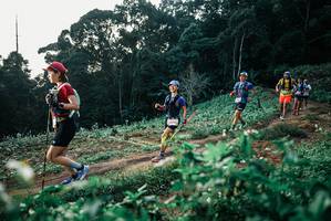 BIB: 
                            <button type="button" onclick="openModal(25367774)" class="btn btn-primary btn-sm float-right btn-popup" data-toggle="modal" data-target=".modal-high-quality">
                        <i class="fas fa-shopping-cart"></i> Add to Cart
                    </button>
                                            <button type="button" onclick="isThisMe(25367774, true)" class="btn btn-success btn-sm float-right btn-popup btn-isme hidden" data-toggle="tooltip" data-placement="bottom" title="นี่คือรูปของคุณใช่ไหม คลิกที่นี่เพื่อเอาเข้าอัลบั้ม">
                        <i class="fas fa-plus"></i> Add to album
                    </button>
                    <button type="button" onclick="isThisMe(25367774, false)" class="btn btn-warning btn-sm float-right btn-popup btn-isnotme hidden">
                        <i class="fas fa-ban"></i> Remove from album
                    </button>