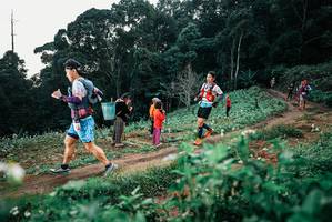 BIB: 
                            <button type="button" onclick="openModal(25415272)" class="btn btn-primary btn-sm float-right btn-popup" data-toggle="modal" data-target=".modal-high-quality">
                        <i class="fas fa-shopping-cart"></i> Add to Cart
                    </button>
                                            <button type="button" onclick="isThisMe(25415272, true)" class="btn btn-success btn-sm float-right btn-popup btn-isme hidden" data-toggle="tooltip" data-placement="bottom" title="นี่คือรูปของคุณใช่ไหม คลิกที่นี่เพื่อเอาเข้าอัลบั้ม">
                        <i class="fas fa-plus"></i> Add to album
                    </button>
                    <button type="button" onclick="isThisMe(25415272, false)" class="btn btn-warning btn-sm float-right btn-popup btn-isnotme hidden">
                        <i class="fas fa-ban"></i> Remove from album
                    </button>