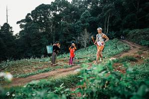 BIB: 
                            <button type="button" onclick="openModal(25415311)" class="btn btn-primary btn-sm float-right btn-popup" data-toggle="modal" data-target=".modal-high-quality">
                        <i class="fas fa-shopping-cart"></i> Add to Cart
                    </button>
                                            <button type="button" onclick="isThisMe(25415311, true)" class="btn btn-success btn-sm float-right btn-popup btn-isme hidden" data-toggle="tooltip" data-placement="bottom" title="นี่คือรูปของคุณใช่ไหม คลิกที่นี่เพื่อเอาเข้าอัลบั้ม">
                        <i class="fas fa-plus"></i> Add to album
                    </button>
                    <button type="button" onclick="isThisMe(25415311, false)" class="btn btn-warning btn-sm float-right btn-popup btn-isnotme hidden">
                        <i class="fas fa-ban"></i> Remove from album
                    </button>