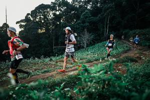 BIB: 
                            <button type="button" onclick="openModal(25365858)" class="btn btn-primary btn-sm float-right btn-popup" data-toggle="modal" data-target=".modal-high-quality">
                        <i class="fas fa-shopping-cart"></i> Add to Cart
                    </button>
                                            <button type="button" onclick="isThisMe(25365858, true)" class="btn btn-success btn-sm float-right btn-popup btn-isme hidden" data-toggle="tooltip" data-placement="bottom" title="นี่คือรูปของคุณใช่ไหม คลิกที่นี่เพื่อเอาเข้าอัลบั้ม">
                        <i class="fas fa-plus"></i> Add to album
                    </button>
                    <button type="button" onclick="isThisMe(25365858, false)" class="btn btn-warning btn-sm float-right btn-popup btn-isnotme hidden">
                        <i class="fas fa-ban"></i> Remove from album
                    </button>