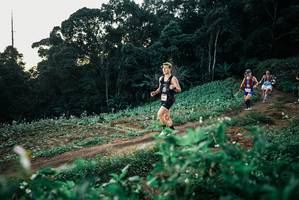 BIB: 
                            <button type="button" onclick="openModal(25366050)" class="btn btn-primary btn-sm float-right btn-popup" data-toggle="modal" data-target=".modal-high-quality">
                        <i class="fas fa-shopping-cart"></i> Add to Cart
                    </button>
                                            <button type="button" onclick="isThisMe(25366050, true)" class="btn btn-success btn-sm float-right btn-popup btn-isme hidden" data-toggle="tooltip" data-placement="bottom" title="นี่คือรูปของคุณใช่ไหม คลิกที่นี่เพื่อเอาเข้าอัลบั้ม">
                        <i class="fas fa-plus"></i> Add to album
                    </button>
                    <button type="button" onclick="isThisMe(25366050, false)" class="btn btn-warning btn-sm float-right btn-popup btn-isnotme hidden">
                        <i class="fas fa-ban"></i> Remove from album
                    </button>