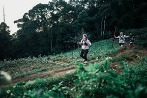 BIB: 
                            <button type="button" onclick="openModal(25366979)" class="btn btn-primary btn-sm float-right btn-popup" data-toggle="modal" data-target=".modal-high-quality">
                        <i class="fas fa-shopping-cart"></i> Add to Cart
                    </button>
                                            <button type="button" onclick="isThisMe(25366979, true)" class="btn btn-success btn-sm float-right btn-popup btn-isme hidden" data-toggle="tooltip" data-placement="bottom" title="นี่คือรูปของคุณใช่ไหม คลิกที่นี่เพื่อเอาเข้าอัลบั้ม">
                        <i class="fas fa-plus"></i> Add to album
                    </button>
                    <button type="button" onclick="isThisMe(25366979, false)" class="btn btn-warning btn-sm float-right btn-popup btn-isnotme hidden">
                        <i class="fas fa-ban"></i> Remove from album
                    </button>