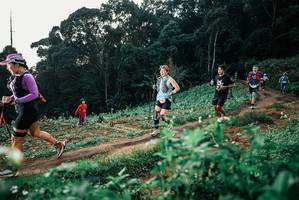 BIB: 
                            <button type="button" onclick="openModal(25414114)" class="btn btn-primary btn-sm float-right btn-popup" data-toggle="modal" data-target=".modal-high-quality">
                        <i class="fas fa-shopping-cart"></i> Add to Cart
                    </button>
                                            <button type="button" onclick="isThisMe(25414114, true)" class="btn btn-success btn-sm float-right btn-popup btn-isme hidden" data-toggle="tooltip" data-placement="bottom" title="นี่คือรูปของคุณใช่ไหม คลิกที่นี่เพื่อเอาเข้าอัลบั้ม">
                        <i class="fas fa-plus"></i> Add to album
                    </button>
                    <button type="button" onclick="isThisMe(25414114, false)" class="btn btn-warning btn-sm float-right btn-popup btn-isnotme hidden">
                        <i class="fas fa-ban"></i> Remove from album
                    </button>