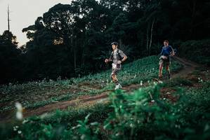 BIB: 
                            <button type="button" onclick="openModal(25365333)" class="btn btn-primary btn-sm float-right btn-popup" data-toggle="modal" data-target=".modal-high-quality">
                        <i class="fas fa-shopping-cart"></i> Add to Cart
                    </button>
                                            <button type="button" onclick="isThisMe(25365333, true)" class="btn btn-success btn-sm float-right btn-popup btn-isme hidden" data-toggle="tooltip" data-placement="bottom" title="นี่คือรูปของคุณใช่ไหม คลิกที่นี่เพื่อเอาเข้าอัลบั้ม">
                        <i class="fas fa-plus"></i> Add to album
                    </button>
                    <button type="button" onclick="isThisMe(25365333, false)" class="btn btn-warning btn-sm float-right btn-popup btn-isnotme hidden">
                        <i class="fas fa-ban"></i> Remove from album
                    </button>