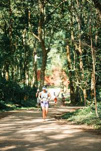 BIB: 
                            <button type="button" onclick="openModal(25431009)" class="btn btn-primary btn-sm float-right btn-popup" data-toggle="modal" data-target=".modal-high-quality">
                        <i class="fas fa-shopping-cart"></i> Add to Cart
                    </button>
                                            <button type="button" onclick="isThisMe(25431009, true)" class="btn btn-success btn-sm float-right btn-popup btn-isme hidden" data-toggle="tooltip" data-placement="bottom" title="นี่คือรูปของคุณใช่ไหม คลิกที่นี่เพื่อเอาเข้าอัลบั้ม">
                        <i class="fas fa-plus"></i> Add to album
                    </button>
                    <button type="button" onclick="isThisMe(25431009, false)" class="btn btn-warning btn-sm float-right btn-popup btn-isnotme hidden">
                        <i class="fas fa-ban"></i> Remove from album
                    </button>