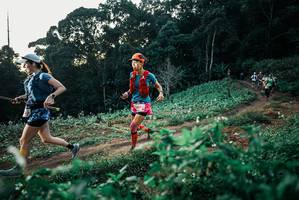 BIB: 
                            <button type="button" onclick="openModal(25366517)" class="btn btn-primary btn-sm float-right btn-popup" data-toggle="modal" data-target=".modal-high-quality">
                        <i class="fas fa-shopping-cart"></i> Add to Cart
                    </button>
                                            <button type="button" onclick="isThisMe(25366517, true)" class="btn btn-success btn-sm float-right btn-popup btn-isme hidden" data-toggle="tooltip" data-placement="bottom" title="นี่คือรูปของคุณใช่ไหม คลิกที่นี่เพื่อเอาเข้าอัลบั้ม">
                        <i class="fas fa-plus"></i> Add to album
                    </button>
                    <button type="button" onclick="isThisMe(25366517, false)" class="btn btn-warning btn-sm float-right btn-popup btn-isnotme hidden">
                        <i class="fas fa-ban"></i> Remove from album
                    </button>