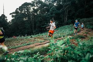 BIB: 
                            <button type="button" onclick="openModal(25368389)" class="btn btn-primary btn-sm float-right btn-popup" data-toggle="modal" data-target=".modal-high-quality">
                        <i class="fas fa-shopping-cart"></i> Add to Cart
                    </button>
                                            <button type="button" onclick="isThisMe(25368389, true)" class="btn btn-success btn-sm float-right btn-popup btn-isme hidden" data-toggle="tooltip" data-placement="bottom" title="นี่คือรูปของคุณใช่ไหม คลิกที่นี่เพื่อเอาเข้าอัลบั้ม">
                        <i class="fas fa-plus"></i> Add to album
                    </button>
                    <button type="button" onclick="isThisMe(25368389, false)" class="btn btn-warning btn-sm float-right btn-popup btn-isnotme hidden">
                        <i class="fas fa-ban"></i> Remove from album
                    </button>