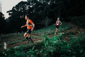 BIB: 
                            <button type="button" onclick="openModal(25364874)" class="btn btn-primary btn-sm float-right btn-popup" data-toggle="modal" data-target=".modal-high-quality">
                        <i class="fas fa-shopping-cart"></i> Add to Cart
                    </button>
                                            <button type="button" onclick="isThisMe(25364874, true)" class="btn btn-success btn-sm float-right btn-popup btn-isme hidden" data-toggle="tooltip" data-placement="bottom" title="นี่คือรูปของคุณใช่ไหม คลิกที่นี่เพื่อเอาเข้าอัลบั้ม">
                        <i class="fas fa-plus"></i> Add to album
                    </button>
                    <button type="button" onclick="isThisMe(25364874, false)" class="btn btn-warning btn-sm float-right btn-popup btn-isnotme hidden">
                        <i class="fas fa-ban"></i> Remove from album
                    </button>