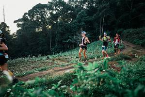 BIB: 
                            <button type="button" onclick="openModal(25366573)" class="btn btn-primary btn-sm float-right btn-popup" data-toggle="modal" data-target=".modal-high-quality">
                        <i class="fas fa-shopping-cart"></i> Add to Cart
                    </button>
                                            <button type="button" onclick="isThisMe(25366573, true)" class="btn btn-success btn-sm float-right btn-popup btn-isme hidden" data-toggle="tooltip" data-placement="bottom" title="นี่คือรูปของคุณใช่ไหม คลิกที่นี่เพื่อเอาเข้าอัลบั้ม">
                        <i class="fas fa-plus"></i> Add to album
                    </button>
                    <button type="button" onclick="isThisMe(25366573, false)" class="btn btn-warning btn-sm float-right btn-popup btn-isnotme hidden">
                        <i class="fas fa-ban"></i> Remove from album
                    </button>