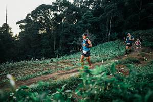 BIB: 
                            <button type="button" onclick="openModal(25366109)" class="btn btn-primary btn-sm float-right btn-popup" data-toggle="modal" data-target=".modal-high-quality">
                        <i class="fas fa-shopping-cart"></i> Add to Cart
                    </button>
                                            <button type="button" onclick="isThisMe(25366109, true)" class="btn btn-success btn-sm float-right btn-popup btn-isme hidden" data-toggle="tooltip" data-placement="bottom" title="นี่คือรูปของคุณใช่ไหม คลิกที่นี่เพื่อเอาเข้าอัลบั้ม">
                        <i class="fas fa-plus"></i> Add to album
                    </button>
                    <button type="button" onclick="isThisMe(25366109, false)" class="btn btn-warning btn-sm float-right btn-popup btn-isnotme hidden">
                        <i class="fas fa-ban"></i> Remove from album
                    </button>