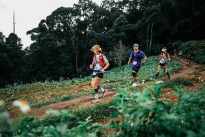 BIB: 
                            <button type="button" onclick="openModal(25426299)" class="btn btn-primary btn-sm float-right btn-popup" data-toggle="modal" data-target=".modal-high-quality">
                        <i class="fas fa-shopping-cart"></i> Add to Cart
                    </button>
                                            <button type="button" onclick="isThisMe(25426299, true)" class="btn btn-success btn-sm float-right btn-popup btn-isme hidden" data-toggle="tooltip" data-placement="bottom" title="นี่คือรูปของคุณใช่ไหม คลิกที่นี่เพื่อเอาเข้าอัลบั้ม">
                        <i class="fas fa-plus"></i> Add to album
                    </button>
                    <button type="button" onclick="isThisMe(25426299, false)" class="btn btn-warning btn-sm float-right btn-popup btn-isnotme hidden">
                        <i class="fas fa-ban"></i> Remove from album
                    </button>