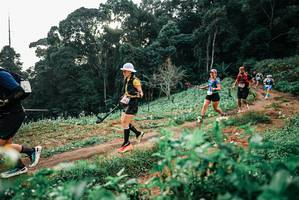 BIB: 
                            <button type="button" onclick="openModal(25419641)" class="btn btn-primary btn-sm float-right btn-popup" data-toggle="modal" data-target=".modal-high-quality">
                        <i class="fas fa-shopping-cart"></i> Add to Cart
                    </button>
                                            <button type="button" onclick="isThisMe(25419641, true)" class="btn btn-success btn-sm float-right btn-popup btn-isme hidden" data-toggle="tooltip" data-placement="bottom" title="นี่คือรูปของคุณใช่ไหม คลิกที่นี่เพื่อเอาเข้าอัลบั้ม">
                        <i class="fas fa-plus"></i> Add to album
                    </button>
                    <button type="button" onclick="isThisMe(25419641, false)" class="btn btn-warning btn-sm float-right btn-popup btn-isnotme hidden">
                        <i class="fas fa-ban"></i> Remove from album
                    </button>