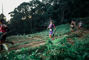 BIB: 
                            <button type="button" onclick="openModal(25366429)" class="btn btn-primary btn-sm float-right btn-popup" data-toggle="modal" data-target=".modal-high-quality">
                        <i class="fas fa-shopping-cart"></i> Add to Cart
                    </button>
                                            <button type="button" onclick="isThisMe(25366429, true)" class="btn btn-success btn-sm float-right btn-popup btn-isme hidden" data-toggle="tooltip" data-placement="bottom" title="นี่คือรูปของคุณใช่ไหม คลิกที่นี่เพื่อเอาเข้าอัลบั้ม">
                        <i class="fas fa-plus"></i> Add to album
                    </button>
                    <button type="button" onclick="isThisMe(25366429, false)" class="btn btn-warning btn-sm float-right btn-popup btn-isnotme hidden">
                        <i class="fas fa-ban"></i> Remove from album
                    </button>