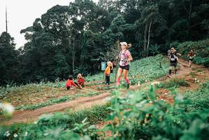 BIB: 
                            <button type="button" onclick="openModal(25419244)" class="btn btn-primary btn-sm float-right btn-popup" data-toggle="modal" data-target=".modal-high-quality">
                        <i class="fas fa-shopping-cart"></i> Add to Cart
                    </button>
                                            <button type="button" onclick="isThisMe(25419244, true)" class="btn btn-success btn-sm float-right btn-popup btn-isme hidden" data-toggle="tooltip" data-placement="bottom" title="นี่คือรูปของคุณใช่ไหม คลิกที่นี่เพื่อเอาเข้าอัลบั้ม">
                        <i class="fas fa-plus"></i> Add to album
                    </button>
                    <button type="button" onclick="isThisMe(25419244, false)" class="btn btn-warning btn-sm float-right btn-popup btn-isnotme hidden">
                        <i class="fas fa-ban"></i> Remove from album
                    </button>