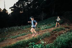 BIB: 
                            <button type="button" onclick="openModal(25364428)" class="btn btn-primary btn-sm float-right btn-popup" data-toggle="modal" data-target=".modal-high-quality">
                        <i class="fas fa-shopping-cart"></i> Add to Cart
                    </button>
                                            <button type="button" onclick="isThisMe(25364428, true)" class="btn btn-success btn-sm float-right btn-popup btn-isme hidden" data-toggle="tooltip" data-placement="bottom" title="นี่คือรูปของคุณใช่ไหม คลิกที่นี่เพื่อเอาเข้าอัลบั้ม">
                        <i class="fas fa-plus"></i> Add to album
                    </button>
                    <button type="button" onclick="isThisMe(25364428, false)" class="btn btn-warning btn-sm float-right btn-popup btn-isnotme hidden">
                        <i class="fas fa-ban"></i> Remove from album
                    </button>