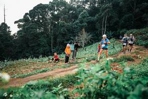 BIB: 
                            <button type="button" onclick="openModal(25415682)" class="btn btn-primary btn-sm float-right btn-popup" data-toggle="modal" data-target=".modal-high-quality">
                        <i class="fas fa-shopping-cart"></i> Add to Cart
                    </button>
                                            <button type="button" onclick="isThisMe(25415682, true)" class="btn btn-success btn-sm float-right btn-popup btn-isme hidden" data-toggle="tooltip" data-placement="bottom" title="นี่คือรูปของคุณใช่ไหม คลิกที่นี่เพื่อเอาเข้าอัลบั้ม">
                        <i class="fas fa-plus"></i> Add to album
                    </button>
                    <button type="button" onclick="isThisMe(25415682, false)" class="btn btn-warning btn-sm float-right btn-popup btn-isnotme hidden">
                        <i class="fas fa-ban"></i> Remove from album
                    </button>