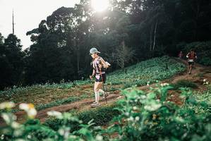 BIB: 
                            <button type="button" onclick="openModal(25426693)" class="btn btn-primary btn-sm float-right btn-popup" data-toggle="modal" data-target=".modal-high-quality">
                        <i class="fas fa-shopping-cart"></i> Add to Cart
                    </button>
                                            <button type="button" onclick="isThisMe(25426693, true)" class="btn btn-success btn-sm float-right btn-popup btn-isme hidden" data-toggle="tooltip" data-placement="bottom" title="นี่คือรูปของคุณใช่ไหม คลิกที่นี่เพื่อเอาเข้าอัลบั้ม">
                        <i class="fas fa-plus"></i> Add to album
                    </button>
                    <button type="button" onclick="isThisMe(25426693, false)" class="btn btn-warning btn-sm float-right btn-popup btn-isnotme hidden">
                        <i class="fas fa-ban"></i> Remove from album
                    </button>