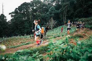 BIB: 
                            <button type="button" onclick="openModal(25415622)" class="btn btn-primary btn-sm float-right btn-popup" data-toggle="modal" data-target=".modal-high-quality">
                        <i class="fas fa-shopping-cart"></i> Add to Cart
                    </button>
                                            <button type="button" onclick="isThisMe(25415622, true)" class="btn btn-success btn-sm float-right btn-popup btn-isme hidden" data-toggle="tooltip" data-placement="bottom" title="นี่คือรูปของคุณใช่ไหม คลิกที่นี่เพื่อเอาเข้าอัลบั้ม">
                        <i class="fas fa-plus"></i> Add to album
                    </button>
                    <button type="button" onclick="isThisMe(25415622, false)" class="btn btn-warning btn-sm float-right btn-popup btn-isnotme hidden">
                        <i class="fas fa-ban"></i> Remove from album
                    </button>