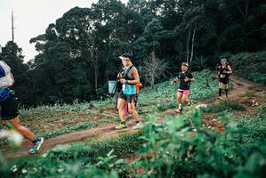 BIB: 
                            <button type="button" onclick="openModal(25415424)" class="btn btn-primary btn-sm float-right btn-popup" data-toggle="modal" data-target=".modal-high-quality">
                        <i class="fas fa-shopping-cart"></i> Add to Cart
                    </button>
                                            <button type="button" onclick="isThisMe(25415424, true)" class="btn btn-success btn-sm float-right btn-popup btn-isme hidden" data-toggle="tooltip" data-placement="bottom" title="นี่คือรูปของคุณใช่ไหม คลิกที่นี่เพื่อเอาเข้าอัลบั้ม">
                        <i class="fas fa-plus"></i> Add to album
                    </button>
                    <button type="button" onclick="isThisMe(25415424, false)" class="btn btn-warning btn-sm float-right btn-popup btn-isnotme hidden">
                        <i class="fas fa-ban"></i> Remove from album
                    </button>