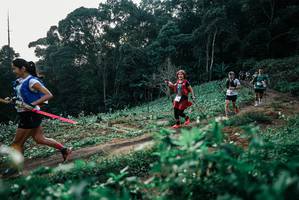 BIB: 
                            <button type="button" onclick="openModal(25367604)" class="btn btn-primary btn-sm float-right btn-popup" data-toggle="modal" data-target=".modal-high-quality">
                        <i class="fas fa-shopping-cart"></i> Add to Cart
                    </button>
                                            <button type="button" onclick="isThisMe(25367604, true)" class="btn btn-success btn-sm float-right btn-popup btn-isme hidden" data-toggle="tooltip" data-placement="bottom" title="นี่คือรูปของคุณใช่ไหม คลิกที่นี่เพื่อเอาเข้าอัลบั้ม">
                        <i class="fas fa-plus"></i> Add to album
                    </button>
                    <button type="button" onclick="isThisMe(25367604, false)" class="btn btn-warning btn-sm float-right btn-popup btn-isnotme hidden">
                        <i class="fas fa-ban"></i> Remove from album
                    </button>