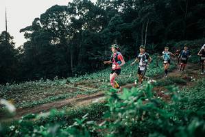 BIB: 
                            <button type="button" onclick="openModal(25367124)" class="btn btn-primary btn-sm float-right btn-popup" data-toggle="modal" data-target=".modal-high-quality">
                        <i class="fas fa-shopping-cart"></i> Add to Cart
                    </button>
                                            <button type="button" onclick="isThisMe(25367124, true)" class="btn btn-success btn-sm float-right btn-popup btn-isme hidden" data-toggle="tooltip" data-placement="bottom" title="นี่คือรูปของคุณใช่ไหม คลิกที่นี่เพื่อเอาเข้าอัลบั้ม">
                        <i class="fas fa-plus"></i> Add to album
                    </button>
                    <button type="button" onclick="isThisMe(25367124, false)" class="btn btn-warning btn-sm float-right btn-popup btn-isnotme hidden">
                        <i class="fas fa-ban"></i> Remove from album
                    </button>