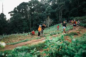 BIB: 
                            <button type="button" onclick="openModal(25415552)" class="btn btn-primary btn-sm float-right btn-popup" data-toggle="modal" data-target=".modal-high-quality">
                        <i class="fas fa-shopping-cart"></i> Add to Cart
                    </button>
                                            <button type="button" onclick="isThisMe(25415552, true)" class="btn btn-success btn-sm float-right btn-popup btn-isme hidden" data-toggle="tooltip" data-placement="bottom" title="นี่คือรูปของคุณใช่ไหม คลิกที่นี่เพื่อเอาเข้าอัลบั้ม">
                        <i class="fas fa-plus"></i> Add to album
                    </button>
                    <button type="button" onclick="isThisMe(25415552, false)" class="btn btn-warning btn-sm float-right btn-popup btn-isnotme hidden">
                        <i class="fas fa-ban"></i> Remove from album
                    </button>