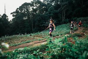 BIB: 
                            <button type="button" onclick="openModal(25368044)" class="btn btn-primary btn-sm float-right btn-popup" data-toggle="modal" data-target=".modal-high-quality">
                        <i class="fas fa-shopping-cart"></i> Add to Cart
                    </button>
                                            <button type="button" onclick="isThisMe(25368044, true)" class="btn btn-success btn-sm float-right btn-popup btn-isme hidden" data-toggle="tooltip" data-placement="bottom" title="นี่คือรูปของคุณใช่ไหม คลิกที่นี่เพื่อเอาเข้าอัลบั้ม">
                        <i class="fas fa-plus"></i> Add to album
                    </button>
                    <button type="button" onclick="isThisMe(25368044, false)" class="btn btn-warning btn-sm float-right btn-popup btn-isnotme hidden">
                        <i class="fas fa-ban"></i> Remove from album
                    </button>