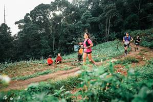 BIB: 
                            <button type="button" onclick="openModal(25419367)" class="btn btn-primary btn-sm float-right btn-popup" data-toggle="modal" data-target=".modal-high-quality">
                        <i class="fas fa-shopping-cart"></i> Add to Cart
                    </button>
                                            <button type="button" onclick="isThisMe(25419367, true)" class="btn btn-success btn-sm float-right btn-popup btn-isme hidden" data-toggle="tooltip" data-placement="bottom" title="นี่คือรูปของคุณใช่ไหม คลิกที่นี่เพื่อเอาเข้าอัลบั้ม">
                        <i class="fas fa-plus"></i> Add to album
                    </button>
                    <button type="button" onclick="isThisMe(25419367, false)" class="btn btn-warning btn-sm float-right btn-popup btn-isnotme hidden">
                        <i class="fas fa-ban"></i> Remove from album
                    </button>