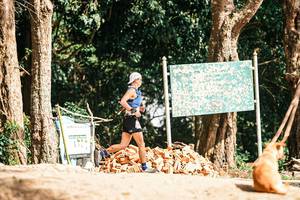 BIB: 
                            <button type="button" onclick="openModal(25429869)" class="btn btn-primary btn-sm float-right btn-popup" data-toggle="modal" data-target=".modal-high-quality">
                        <i class="fas fa-shopping-cart"></i> Add to Cart
                    </button>
                                            <button type="button" onclick="isThisMe(25429869, true)" class="btn btn-success btn-sm float-right btn-popup btn-isme hidden" data-toggle="tooltip" data-placement="bottom" title="นี่คือรูปของคุณใช่ไหม คลิกที่นี่เพื่อเอาเข้าอัลบั้ม">
                        <i class="fas fa-plus"></i> Add to album
                    </button>
                    <button type="button" onclick="isThisMe(25429869, false)" class="btn btn-warning btn-sm float-right btn-popup btn-isnotme hidden">
                        <i class="fas fa-ban"></i> Remove from album
                    </button>