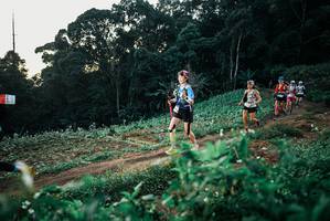 BIB: 
                            <button type="button" onclick="openModal(25365997)" class="btn btn-primary btn-sm float-right btn-popup" data-toggle="modal" data-target=".modal-high-quality">
                        <i class="fas fa-shopping-cart"></i> Add to Cart
                    </button>
                                            <button type="button" onclick="isThisMe(25365997, true)" class="btn btn-success btn-sm float-right btn-popup btn-isme hidden" data-toggle="tooltip" data-placement="bottom" title="นี่คือรูปของคุณใช่ไหม คลิกที่นี่เพื่อเอาเข้าอัลบั้ม">
                        <i class="fas fa-plus"></i> Add to album
                    </button>
                    <button type="button" onclick="isThisMe(25365997, false)" class="btn btn-warning btn-sm float-right btn-popup btn-isnotme hidden">
                        <i class="fas fa-ban"></i> Remove from album
                    </button>