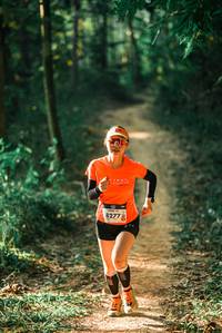 BIB: 
                            <button type="button" onclick="openModal(25566299)" class="btn btn-primary btn-sm float-right btn-popup" data-toggle="modal" data-target=".modal-high-quality">
                        <i class="fas fa-shopping-cart"></i> Add to Cart
                    </button>
                                            <button type="button" onclick="isThisMe(25566299, true)" class="btn btn-success btn-sm float-right btn-popup btn-isme hidden" data-toggle="tooltip" data-placement="bottom" title="นี่คือรูปของคุณใช่ไหม คลิกที่นี่เพื่อเอาเข้าอัลบั้ม">
                        <i class="fas fa-plus"></i> Add to album
                    </button>
                    <button type="button" onclick="isThisMe(25566299, false)" class="btn btn-warning btn-sm float-right btn-popup btn-isnotme hidden">
                        <i class="fas fa-ban"></i> Remove from album
                    </button>