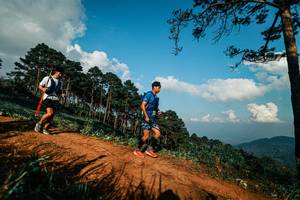 BIB: 
                            <button type="button" onclick="openModal(25623901)" class="btn btn-primary btn-sm float-right btn-popup" data-toggle="modal" data-target=".modal-high-quality">
                        <i class="fas fa-shopping-cart"></i> Add to Cart
                    </button>
                                            <button type="button" onclick="isThisMe(25623901, true)" class="btn btn-success btn-sm float-right btn-popup btn-isme hidden" data-toggle="tooltip" data-placement="bottom" title="นี่คือรูปของคุณใช่ไหม คลิกที่นี่เพื่อเอาเข้าอัลบั้ม">
                        <i class="fas fa-plus"></i> Add to album
                    </button>
                    <button type="button" onclick="isThisMe(25623901, false)" class="btn btn-warning btn-sm float-right btn-popup btn-isnotme hidden">
                        <i class="fas fa-ban"></i> Remove from album
                    </button>