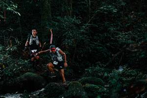 BIB: 
                            <button type="button" onclick="openModal(25230793)" class="btn btn-primary btn-sm float-right btn-popup" data-toggle="modal" data-target=".modal-high-quality">
                        <i class="fas fa-shopping-cart"></i> Add to Cart
                    </button>
                                            <button type="button" onclick="isThisMe(25230793, true)" class="btn btn-success btn-sm float-right btn-popup btn-isme hidden" data-toggle="tooltip" data-placement="bottom" title="นี่คือรูปของคุณใช่ไหม คลิกที่นี่เพื่อเอาเข้าอัลบั้ม">
                        <i class="fas fa-plus"></i> Add to album
                    </button>
                    <button type="button" onclick="isThisMe(25230793, false)" class="btn btn-warning btn-sm float-right btn-popup btn-isnotme hidden">
                        <i class="fas fa-ban"></i> Remove from album
                    </button>