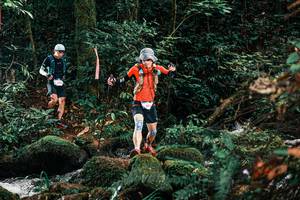 BIB: 
                            <button type="button" onclick="openModal(25234048)" class="btn btn-primary btn-sm float-right btn-popup" data-toggle="modal" data-target=".modal-high-quality">
                        <i class="fas fa-shopping-cart"></i> Add to Cart
                    </button>
                                            <button type="button" onclick="isThisMe(25234048, true)" class="btn btn-success btn-sm float-right btn-popup btn-isme hidden" data-toggle="tooltip" data-placement="bottom" title="นี่คือรูปของคุณใช่ไหม คลิกที่นี่เพื่อเอาเข้าอัลบั้ม">
                        <i class="fas fa-plus"></i> Add to album
                    </button>
                    <button type="button" onclick="isThisMe(25234048, false)" class="btn btn-warning btn-sm float-right btn-popup btn-isnotme hidden">
                        <i class="fas fa-ban"></i> Remove from album
                    </button>