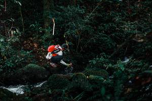 BIB: 
                            <button type="button" onclick="openModal(25230596)" class="btn btn-primary btn-sm float-right btn-popup" data-toggle="modal" data-target=".modal-high-quality">
                        <i class="fas fa-shopping-cart"></i> Add to Cart
                    </button>
                                            <button type="button" onclick="isThisMe(25230596, true)" class="btn btn-success btn-sm float-right btn-popup btn-isme hidden" data-toggle="tooltip" data-placement="bottom" title="นี่คือรูปของคุณใช่ไหม คลิกที่นี่เพื่อเอาเข้าอัลบั้ม">
                        <i class="fas fa-plus"></i> Add to album
                    </button>
                    <button type="button" onclick="isThisMe(25230596, false)" class="btn btn-warning btn-sm float-right btn-popup btn-isnotme hidden">
                        <i class="fas fa-ban"></i> Remove from album
                    </button>