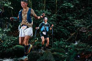 BIB: 
                            <button type="button" onclick="openModal(25231286)" class="btn btn-primary btn-sm float-right btn-popup" data-toggle="modal" data-target=".modal-high-quality">
                        <i class="fas fa-shopping-cart"></i> Add to Cart
                    </button>
                                            <button type="button" onclick="isThisMe(25231286, true)" class="btn btn-success btn-sm float-right btn-popup btn-isme hidden" data-toggle="tooltip" data-placement="bottom" title="นี่คือรูปของคุณใช่ไหม คลิกที่นี่เพื่อเอาเข้าอัลบั้ม">
                        <i class="fas fa-plus"></i> Add to album
                    </button>
                    <button type="button" onclick="isThisMe(25231286, false)" class="btn btn-warning btn-sm float-right btn-popup btn-isnotme hidden">
                        <i class="fas fa-ban"></i> Remove from album
                    </button>