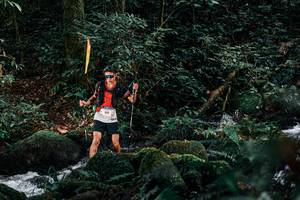 BIB: 
                            <button type="button" onclick="openModal(25228856)" class="btn btn-primary btn-sm float-right btn-popup" data-toggle="modal" data-target=".modal-high-quality">
                        <i class="fas fa-shopping-cart"></i> Add to Cart
                    </button>
                                            <button type="button" onclick="isThisMe(25228856, true)" class="btn btn-success btn-sm float-right btn-popup btn-isme hidden" data-toggle="tooltip" data-placement="bottom" title="นี่คือรูปของคุณใช่ไหม คลิกที่นี่เพื่อเอาเข้าอัลบั้ม">
                        <i class="fas fa-plus"></i> Add to album
                    </button>
                    <button type="button" onclick="isThisMe(25228856, false)" class="btn btn-warning btn-sm float-right btn-popup btn-isnotme hidden">
                        <i class="fas fa-ban"></i> Remove from album
                    </button>