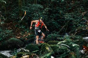 BIB: 
                            <button type="button" onclick="openModal(25228766)" class="btn btn-primary btn-sm float-right btn-popup" data-toggle="modal" data-target=".modal-high-quality">
                        <i class="fas fa-shopping-cart"></i> Add to Cart
                    </button>
                                            <button type="button" onclick="isThisMe(25228766, true)" class="btn btn-success btn-sm float-right btn-popup btn-isme hidden" data-toggle="tooltip" data-placement="bottom" title="นี่คือรูปของคุณใช่ไหม คลิกที่นี่เพื่อเอาเข้าอัลบั้ม">
                        <i class="fas fa-plus"></i> Add to album
                    </button>
                    <button type="button" onclick="isThisMe(25228766, false)" class="btn btn-warning btn-sm float-right btn-popup btn-isnotme hidden">
                        <i class="fas fa-ban"></i> Remove from album
                    </button>