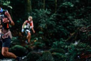 BIB: 
                            <button type="button" onclick="openModal(25231314)" class="btn btn-primary btn-sm float-right btn-popup" data-toggle="modal" data-target=".modal-high-quality">
                        <i class="fas fa-shopping-cart"></i> Add to Cart
                    </button>
                                            <button type="button" onclick="isThisMe(25231314, true)" class="btn btn-success btn-sm float-right btn-popup btn-isme hidden" data-toggle="tooltip" data-placement="bottom" title="นี่คือรูปของคุณใช่ไหม คลิกที่นี่เพื่อเอาเข้าอัลบั้ม">
                        <i class="fas fa-plus"></i> Add to album
                    </button>
                    <button type="button" onclick="isThisMe(25231314, false)" class="btn btn-warning btn-sm float-right btn-popup btn-isnotme hidden">
                        <i class="fas fa-ban"></i> Remove from album
                    </button>