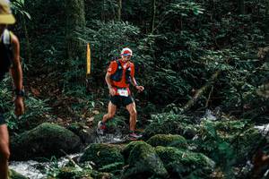 BIB: 
                            <button type="button" onclick="openModal(25229285)" class="btn btn-primary btn-sm float-right btn-popup" data-toggle="modal" data-target=".modal-high-quality">
                        <i class="fas fa-shopping-cart"></i> Add to Cart
                    </button>
                                            <button type="button" onclick="isThisMe(25229285, true)" class="btn btn-success btn-sm float-right btn-popup btn-isme hidden" data-toggle="tooltip" data-placement="bottom" title="นี่คือรูปของคุณใช่ไหม คลิกที่นี่เพื่อเอาเข้าอัลบั้ม">
                        <i class="fas fa-plus"></i> Add to album
                    </button>
                    <button type="button" onclick="isThisMe(25229285, false)" class="btn btn-warning btn-sm float-right btn-popup btn-isnotme hidden">
                        <i class="fas fa-ban"></i> Remove from album
                    </button>