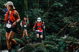 BIB: 
                            <button type="button" onclick="openModal(25230957)" class="btn btn-primary btn-sm float-right btn-popup" data-toggle="modal" data-target=".modal-high-quality">
                        <i class="fas fa-shopping-cart"></i> Add to Cart
                    </button>
                                            <button type="button" onclick="isThisMe(25230957, true)" class="btn btn-success btn-sm float-right btn-popup btn-isme hidden" data-toggle="tooltip" data-placement="bottom" title="นี่คือรูปของคุณใช่ไหม คลิกที่นี่เพื่อเอาเข้าอัลบั้ม">
                        <i class="fas fa-plus"></i> Add to album
                    </button>
                    <button type="button" onclick="isThisMe(25230957, false)" class="btn btn-warning btn-sm float-right btn-popup btn-isnotme hidden">
                        <i class="fas fa-ban"></i> Remove from album
                    </button>