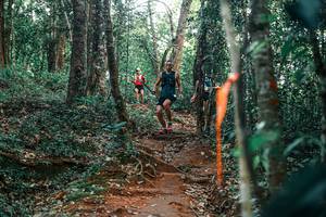 BIB: 
                            <button type="button" onclick="openModal(25678982)" class="btn btn-primary btn-sm float-right btn-popup" data-toggle="modal" data-target=".modal-high-quality">
                        <i class="fas fa-shopping-cart"></i> Add to Cart
                    </button>
                                            <button type="button" onclick="isThisMe(25678982, true)" class="btn btn-success btn-sm float-right btn-popup btn-isme hidden" data-toggle="tooltip" data-placement="bottom" title="นี่คือรูปของคุณใช่ไหม คลิกที่นี่เพื่อเอาเข้าอัลบั้ม">
                        <i class="fas fa-plus"></i> Add to album
                    </button>
                    <button type="button" onclick="isThisMe(25678982, false)" class="btn btn-warning btn-sm float-right btn-popup btn-isnotme hidden">
                        <i class="fas fa-ban"></i> Remove from album
                    </button>