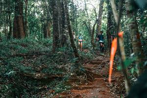 BIB: 
                            <button type="button" onclick="openModal(25692389)" class="btn btn-primary btn-sm float-right btn-popup" data-toggle="modal" data-target=".modal-high-quality">
                        <i class="fas fa-shopping-cart"></i> Add to Cart
                    </button>
                                            <button type="button" onclick="isThisMe(25692389, true)" class="btn btn-success btn-sm float-right btn-popup btn-isme hidden" data-toggle="tooltip" data-placement="bottom" title="นี่คือรูปของคุณใช่ไหม คลิกที่นี่เพื่อเอาเข้าอัลบั้ม">
                        <i class="fas fa-plus"></i> Add to album
                    </button>
                    <button type="button" onclick="isThisMe(25692389, false)" class="btn btn-warning btn-sm float-right btn-popup btn-isnotme hidden">
                        <i class="fas fa-ban"></i> Remove from album
                    </button>