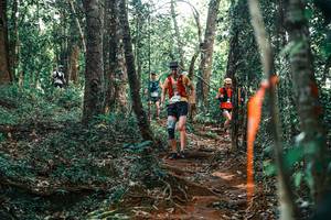 BIB: 
                            <button type="button" onclick="openModal(25708616)" class="btn btn-primary btn-sm float-right btn-popup" data-toggle="modal" data-target=".modal-high-quality">
                        <i class="fas fa-shopping-cart"></i> Add to Cart
                    </button>
                                            <button type="button" onclick="isThisMe(25708616, true)" class="btn btn-success btn-sm float-right btn-popup btn-isme hidden" data-toggle="tooltip" data-placement="bottom" title="นี่คือรูปของคุณใช่ไหม คลิกที่นี่เพื่อเอาเข้าอัลบั้ม">
                        <i class="fas fa-plus"></i> Add to album
                    </button>
                    <button type="button" onclick="isThisMe(25708616, false)" class="btn btn-warning btn-sm float-right btn-popup btn-isnotme hidden">
                        <i class="fas fa-ban"></i> Remove from album
                    </button>