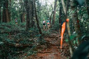 BIB: 
                            <button type="button" onclick="openModal(25692419)" class="btn btn-primary btn-sm float-right btn-popup" data-toggle="modal" data-target=".modal-high-quality">
                        <i class="fas fa-shopping-cart"></i> Add to Cart
                    </button>
                                            <button type="button" onclick="isThisMe(25692419, true)" class="btn btn-success btn-sm float-right btn-popup btn-isme hidden" data-toggle="tooltip" data-placement="bottom" title="นี่คือรูปของคุณใช่ไหม คลิกที่นี่เพื่อเอาเข้าอัลบั้ม">
                        <i class="fas fa-plus"></i> Add to album
                    </button>
                    <button type="button" onclick="isThisMe(25692419, false)" class="btn btn-warning btn-sm float-right btn-popup btn-isnotme hidden">
                        <i class="fas fa-ban"></i> Remove from album
                    </button>