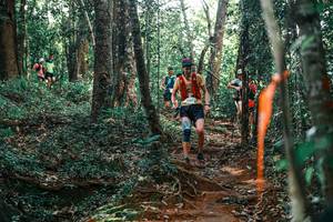 BIB: 
                            <button type="button" onclick="openModal(25708915)" class="btn btn-primary btn-sm float-right btn-popup" data-toggle="modal" data-target=".modal-high-quality">
                        <i class="fas fa-shopping-cart"></i> Add to Cart
                    </button>
                                            <button type="button" onclick="isThisMe(25708915, true)" class="btn btn-success btn-sm float-right btn-popup btn-isme hidden" data-toggle="tooltip" data-placement="bottom" title="นี่คือรูปของคุณใช่ไหม คลิกที่นี่เพื่อเอาเข้าอัลบั้ม">
                        <i class="fas fa-plus"></i> Add to album
                    </button>
                    <button type="button" onclick="isThisMe(25708915, false)" class="btn btn-warning btn-sm float-right btn-popup btn-isnotme hidden">
                        <i class="fas fa-ban"></i> Remove from album
                    </button>